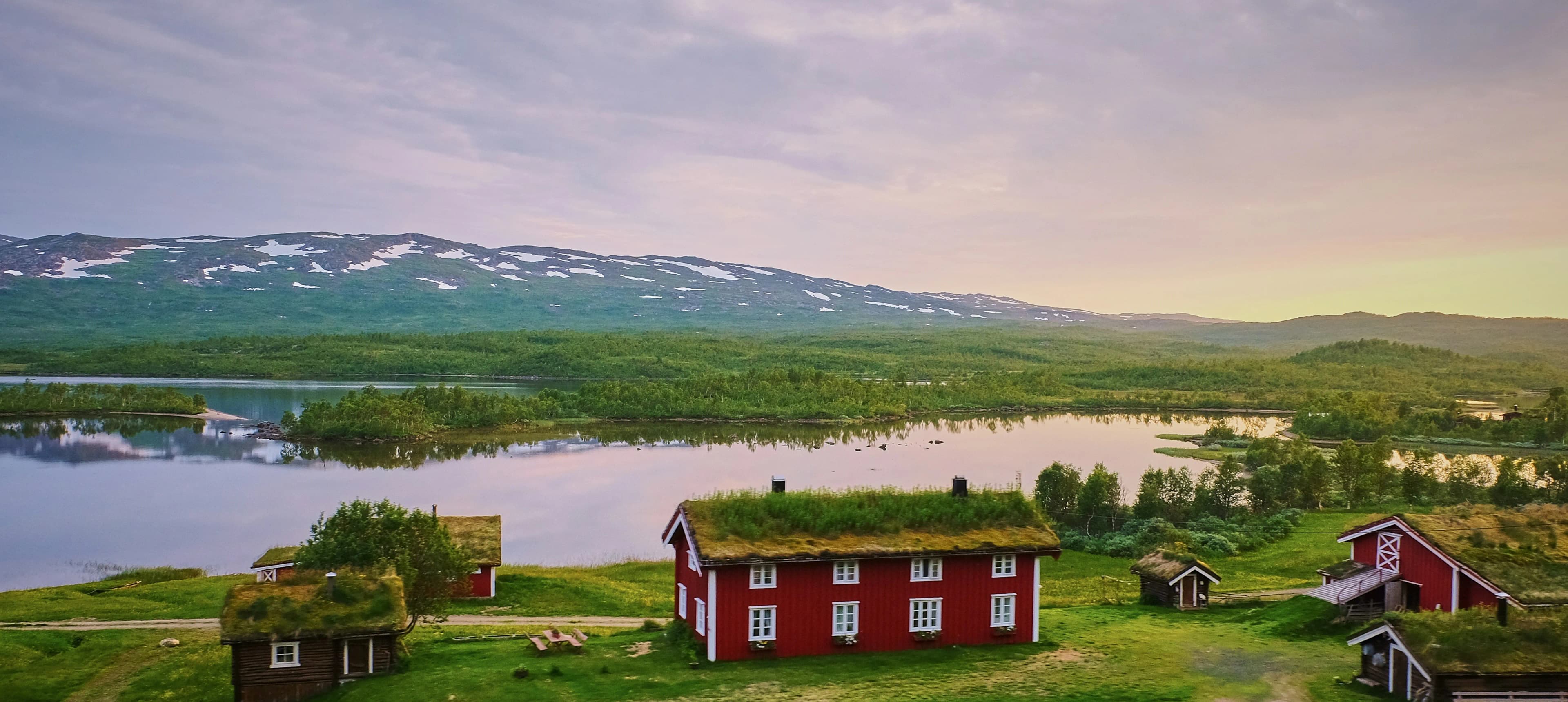 banner image